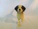 Hubley Style Cast Iron Hunting Dog Door Stop Metalware photo 2