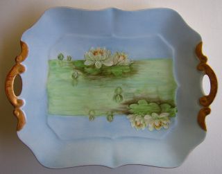 Limoges (?) France Hand Painted Water Lilies Tray photo