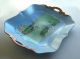 Limoges (?) France Hand Painted Water Lilies Tray Platters & Trays photo 3