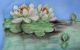 Limoges (?) France Hand Painted Water Lilies Tray Platters & Trays photo 6