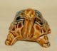 Vintge Japan Porcelain Ceramic Pottery Adorable Pretty Turtle Tortoise Figurine Figurines photo 4