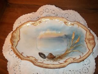 Antique Fine China Hand Painted Dish By H & Co.  Limoges France C 1870 - 1891 Imper photo