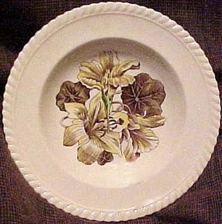 1950s Old Flower Print Ptn Johnson Brothers English Deep Soup Plate Nasturtium photo