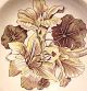 1950s Old Flower Print Ptn Johnson Brothers English Deep Soup Plate Nasturtium Bowls photo 1
