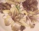 1950s Old Flower Print Ptn Johnson Brothers English Deep Soup Plate Nasturtium Bowls photo 2