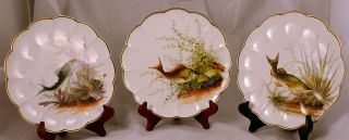 George Jones Set Of 3 Porcelain Hand Panted Porcelain Fish Plates 1873 - 90 photo
