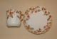 Antique Haviland Limoges Tea Cup & Saucer Set,  Autumn Floral Design,  Gold Trim Cups & Saucers photo 5