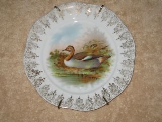 1880 - 1910 Z.  S.  & Co Bavaria Mignon Porcelain Duck Display Plate photo