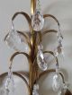 Vintage Italian Gold Gilt Tole Wall Sconce 2 Candleholder 22 Crystal Prisms Toleware photo 7