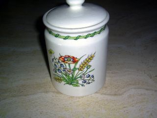 Retro Large Jar English Taunton Vale Biscuit Barrel C1960 Made England Canister photo