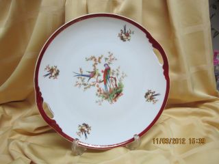 Bavaria Cake Plate Open Handles Handpainted Birds J.  B.  N.  Y.  Mark photo