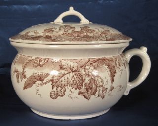 Antique Chamber Pot - Johnson Brothers,  England - Hop Design photo