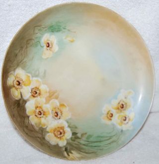 Antique 1910 Hand Painted Plate With Yellow Flowers photo