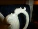 Stunning Iridescent Porcelain Vase Sign Catherine Hedges 13.  5 