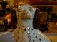 Staffordshire Figurine Dog Spaniel White,  Brown Patches & Gilt Collar Figurines photo 10