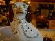 Staffordshire Figurine Dog Spaniel White,  Brown Patches & Gilt Collar Figurines photo 3