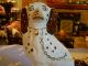 Staffordshire Figurine Dog Spaniel White,  Brown Patches & Gilt Collar Figurines photo 8