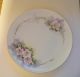 Small C1900 Krautheim Bavaria Porcelain Plate Hand Painted Wild Roses - Exc.  Cnd Plates & Chargers photo 1