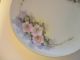 Small C1900 Krautheim Bavaria Porcelain Plate Hand Painted Wild Roses - Exc.  Cnd Plates & Chargers photo 2