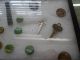 Mixed Collection Of Pins,  Buttons And Keys Metalware photo 2