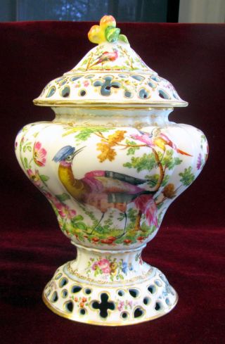 Antique 18 C Lidded Chelsea Vase (urn) With Exotic Birds photo