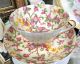 Tuscan Chintz Blossoms Teacup Hand Painted Tea Cup And Saucer Cups & Saucers photo 3