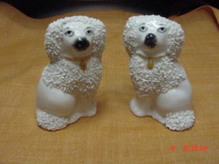 Antique Pair Of Miniature Dogs Puddle Staffordshire England C.  1880 3 