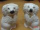 Antique Pair Of Miniature Dogs Puddle Staffordshire England C.  1880 3 