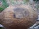 Antique American Primitive Hard Wood Hand Made Trencher Tray Dough Bowl Folk Art Bowls photo 6