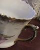 Antique Wheelock Dresden Germany Floral Cup 1800s Cups & Saucers photo 4