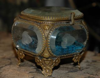 Antique French Ormolu Beveled Etched Glass Birds Jewelery Box Casket Bronze photo