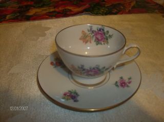 Antique Demitasse Cup And Saucer Handpainted Made In Germany By Veb Jlmenau photo