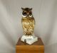 Golden Crown E&r Western Germany Porcelain Owl Figurines photo 2