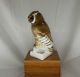 Golden Crown E&r Western Germany Porcelain Owl Figurines photo 3