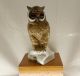 Golden Crown E&r Western Germany Porcelain Owl Figurines photo 5