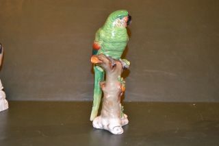 French Porcelain Parrot photo