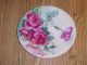 Hand Painted Rose Plate 9 