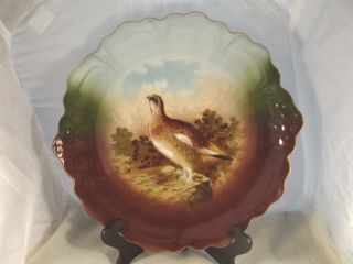 Large Vintage Game Plate Quail Grouse Game Bird Bavaria photo