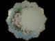 Antique,  Decorative,  Lovely Floral Plate,  Marked 