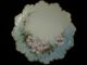 Antique,  Decorative,  Lovely Floral Plate,  Marked 