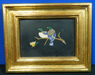 Pietra Dura Plaque Vintage Italian Birds And Butterfly Framed Signed photo