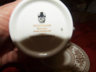 Antique Wedgwood Brand China Tea Cup And Saucer Set photo