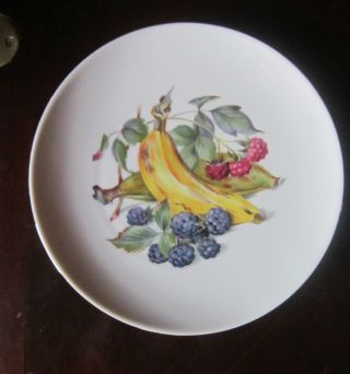 Bavaria Winterling Porcelain China Fruit Plate photo
