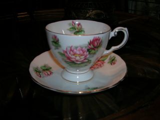 Vntg Englishntuscon Bone China Tea Cup & Saucer July ' S Water Lily photo