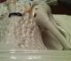 Antique Staffordshire English Porcelain Hunter W/deer Figurine 1870 - Figurines photo 4