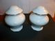Vintage Wawel China Poland Floral Pattern And Rose Salt And Pepper Shakers Teapots & Tea Sets photo 2