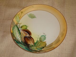 Vtg Nippon Decorative Hand Painted Plate Almond Nuts Leaves Fall Autumn Exc 7.  75 photo