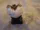Perfume Scent Bottle Carved Marble Silver Heart Glass Rose Flask Snuff Jar Black Other photo 4