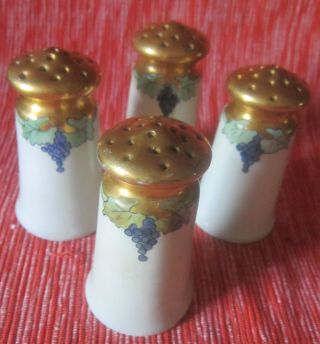 Four Antique Porcelain Salt & Pepper Shakers Made In Austria,  O&eg photo