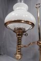 Antique Brass American Student Lamp Argand Oil Wired Kerosene Victorian Desk Lamps photo 1
